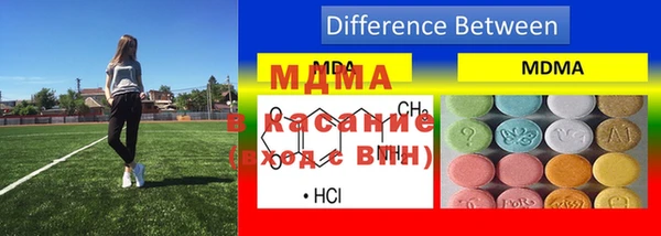 дмт Богданович
