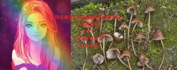PSILOCYBIN Белоозёрский