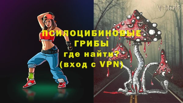 2c-b Балахна